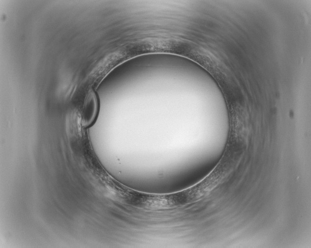 X0000060800123200511101429