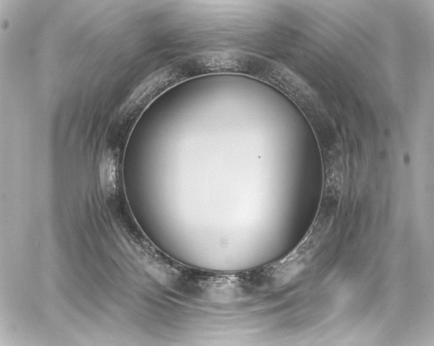 X0000060800124200511101429