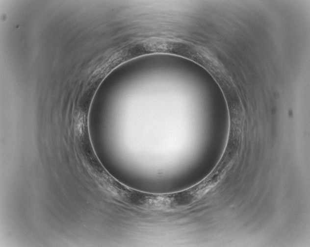 X0000060800125200511101429