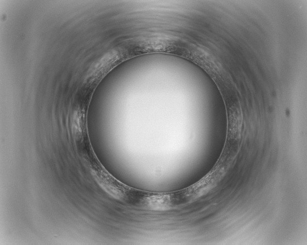 X0000060800126200511101429