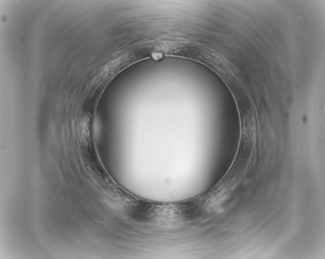 X0000060800127200511101429