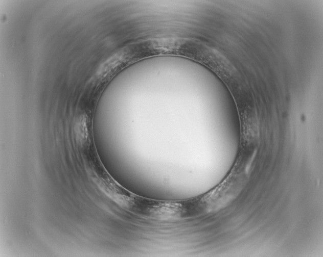 X0000060800128200511101429