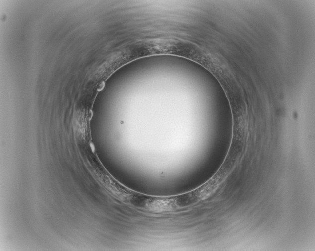 X0000060800129200511101429