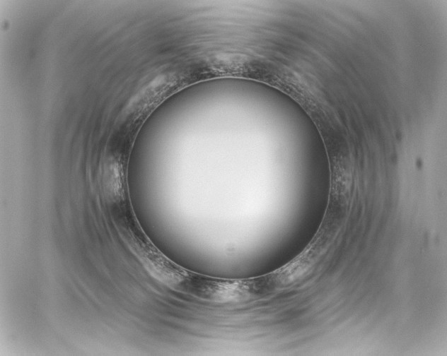 X0000060800130200511101429