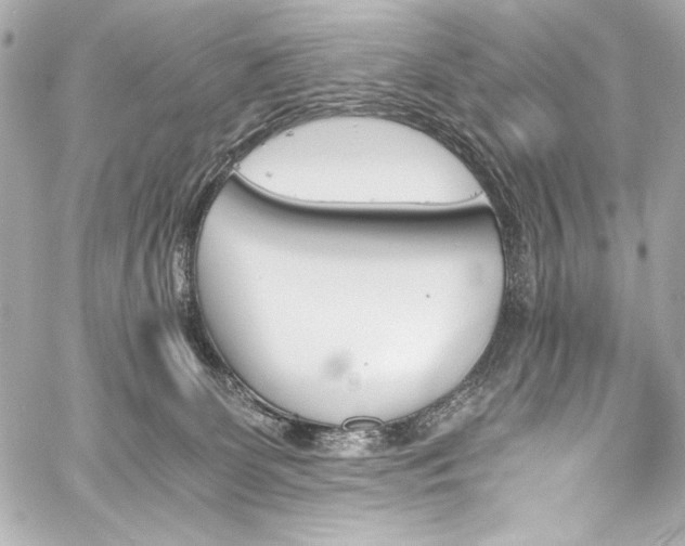 X0000060800131200511101429