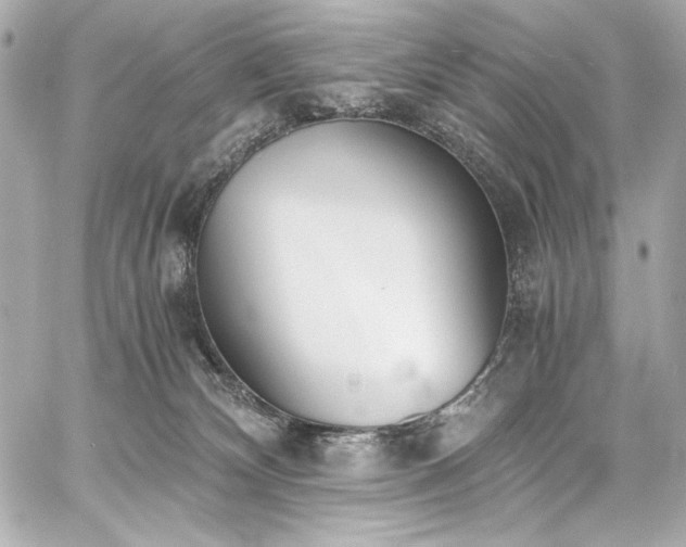 X0000060800132200511101429