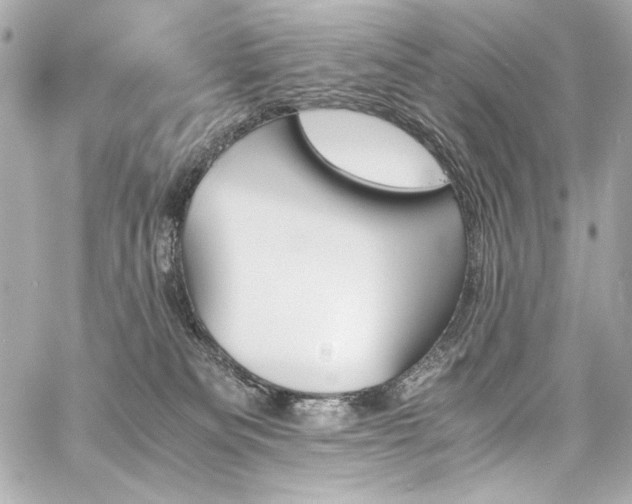 X0000060800133200511101429