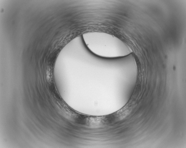 X0000060800134200511101429