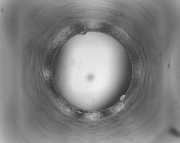 X0000060800135200511101429