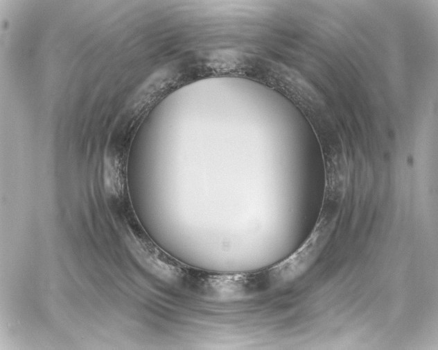 X0000060800136200511101429