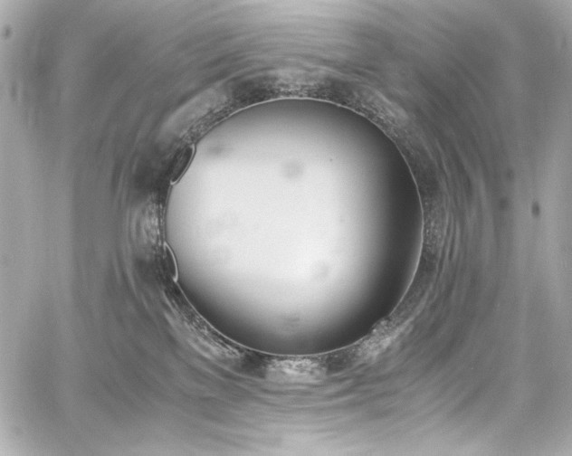 X0000060800137200511101429