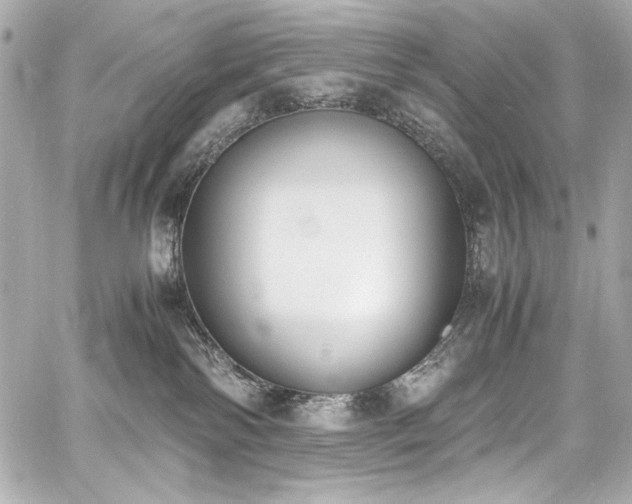 X0000060800138200511101429