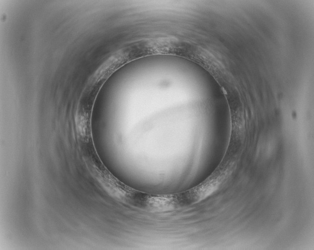 X0000060800139200511101429