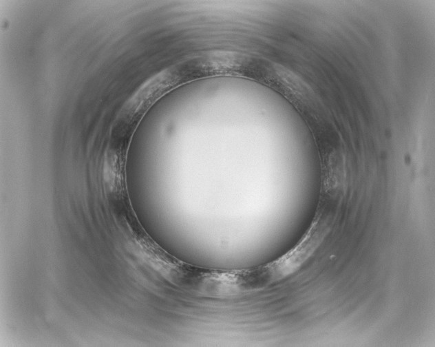 X0000060800140200511101429