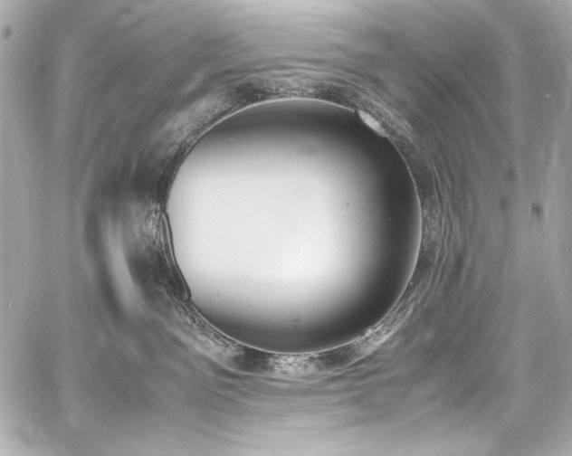 X0000060800141200511101429