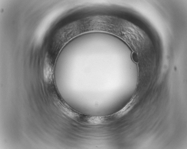 X0000060800142200511101429