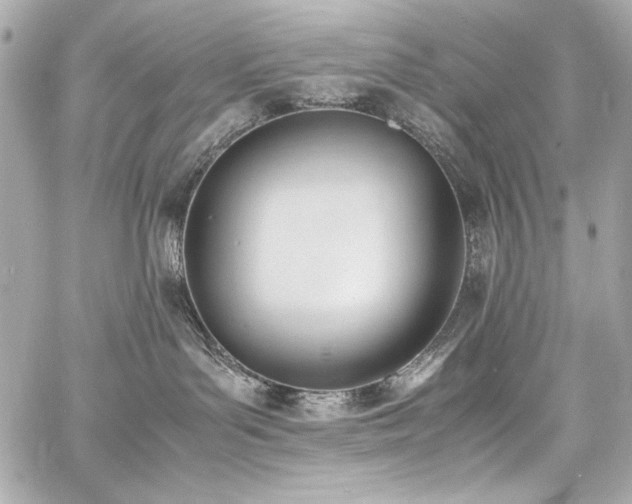 X0000060800143200511101429