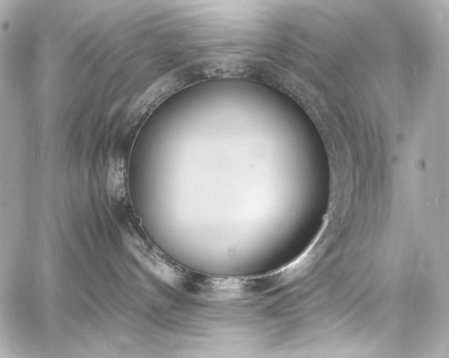 X0000060800144200511101429