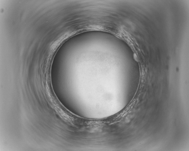 X0000060800145200511101428