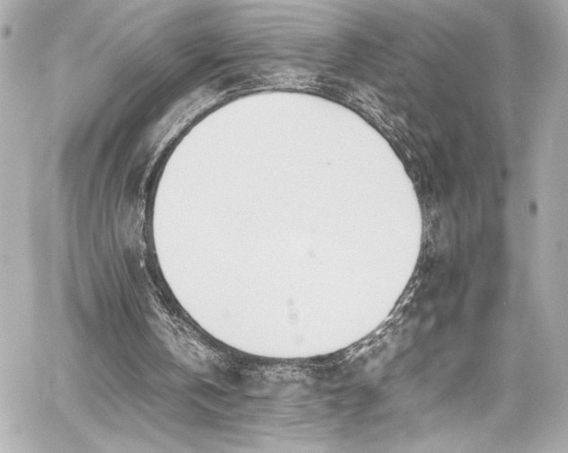 X0000060800146200511101428