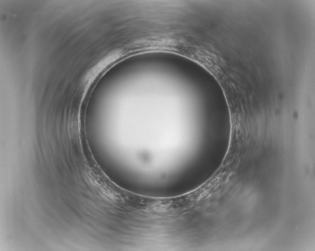 X0000060800148200511101428