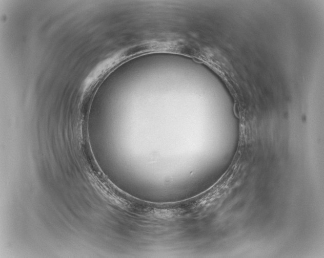 X0000060800149200511101428