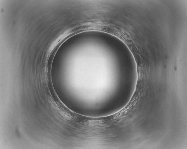 X0000060800150200511101428