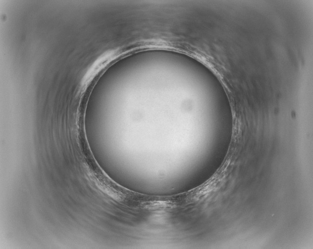 X0000060800151200511101428