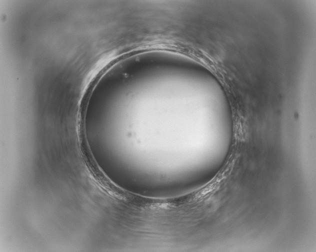 X0000060800152200511101428