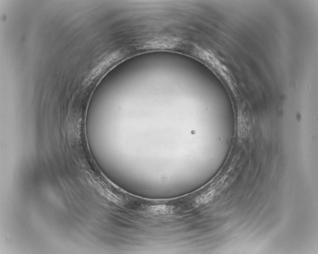 X0000060800153200511101428