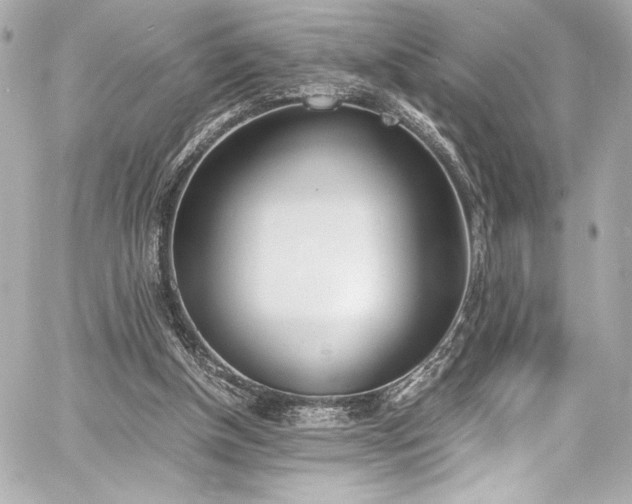 X0000060800154200511101428