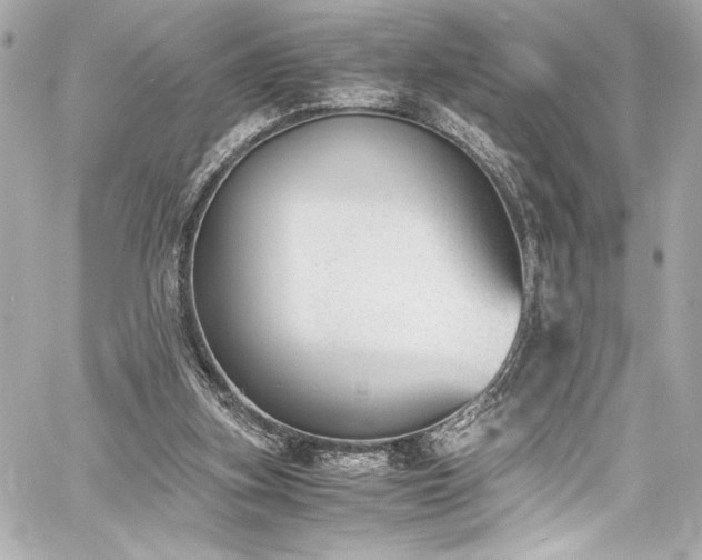 X0000060800155200511101428