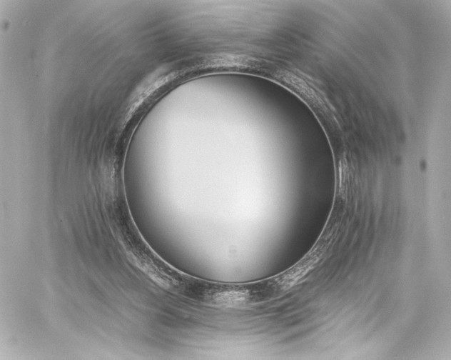 X0000060800156200511101428