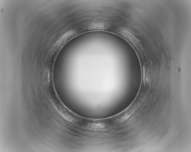 X0000060800157200511101428