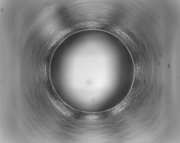 X0000060800158200511101428