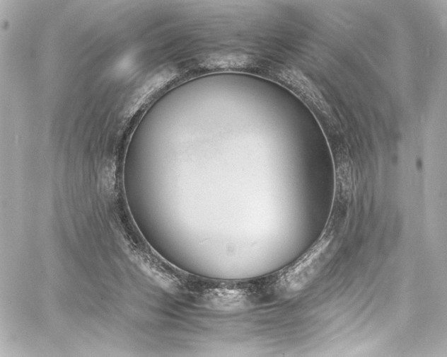 X0000060800159200511101428