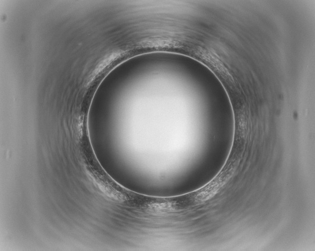 X0000060800160200511101428