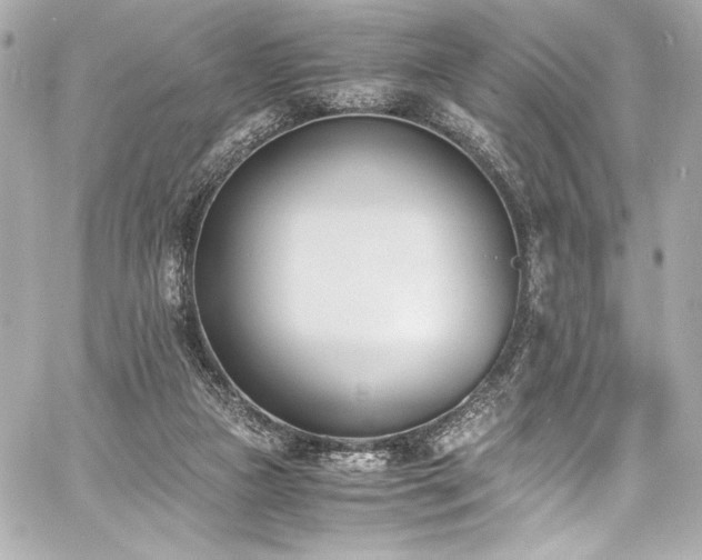 X0000060800161200511101428