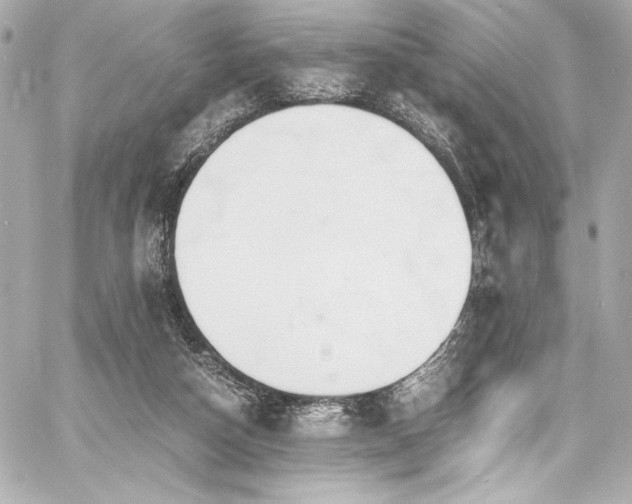 X0000060800162200511101428