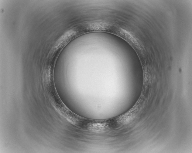 X0000060800163200511101428