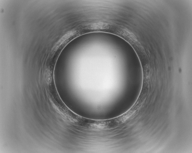 X0000060800164200511101428