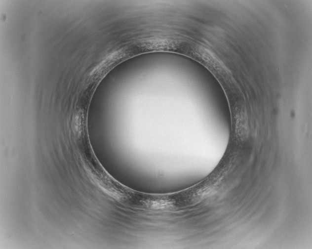 X0000060800165200511101428