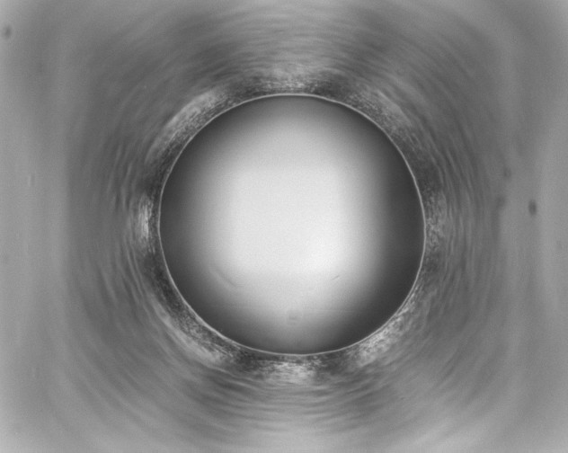 X0000060800166200511101428