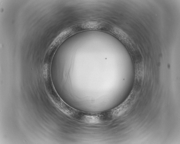 X0000060800167200511101428