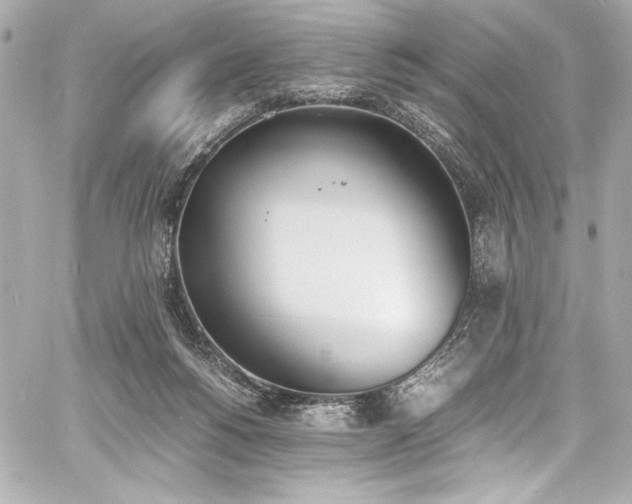 X0000060800168200511101428