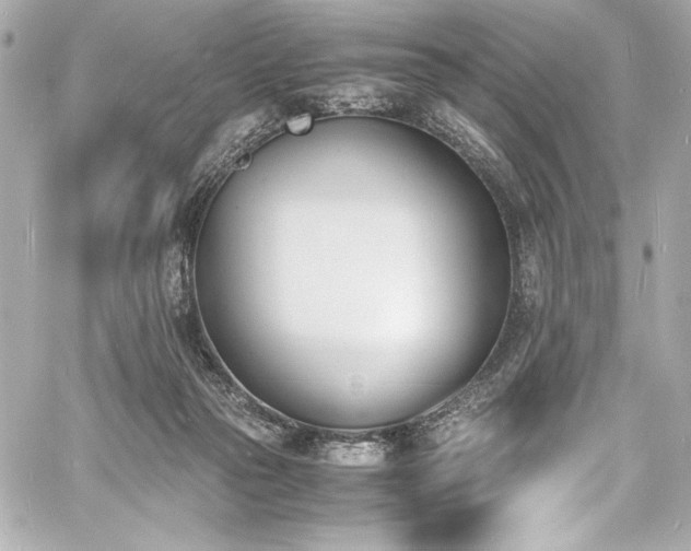 X0000060800169200511101428