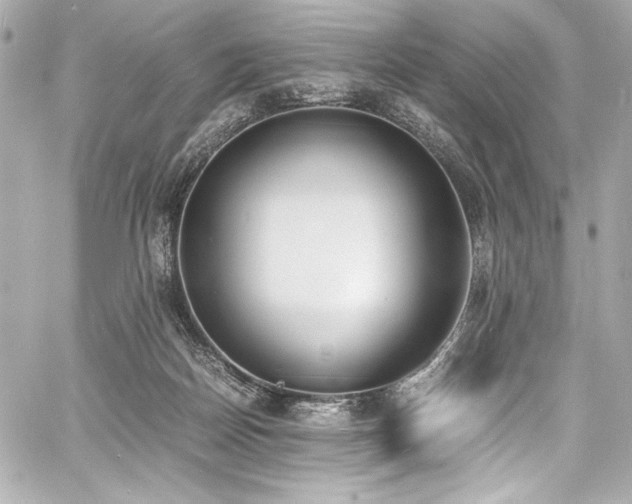 X0000060800170200511101428