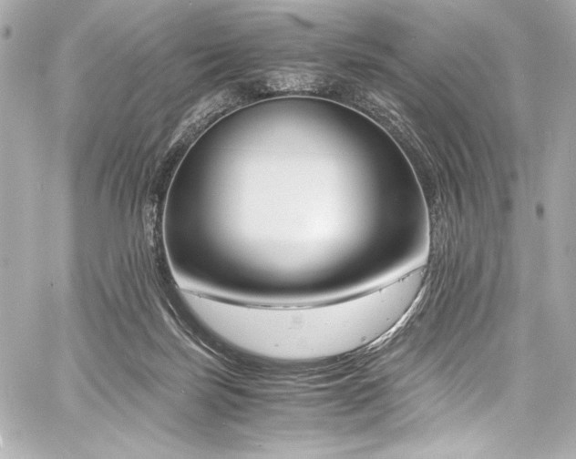 X0000060800171200511101428