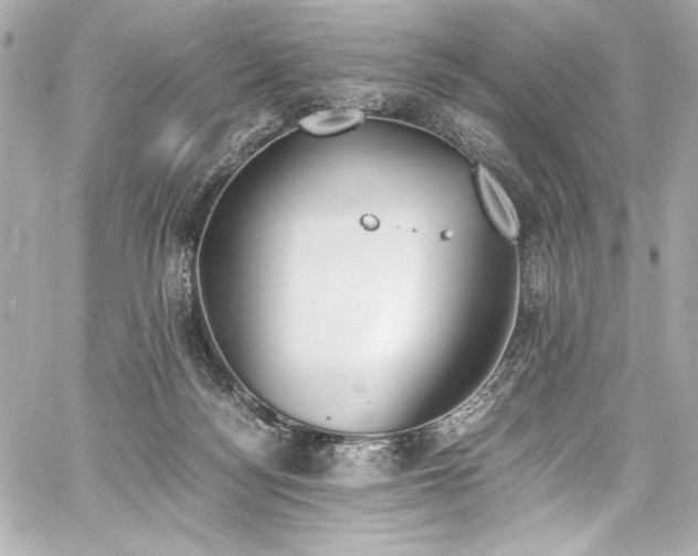 X0000060800172200511101428