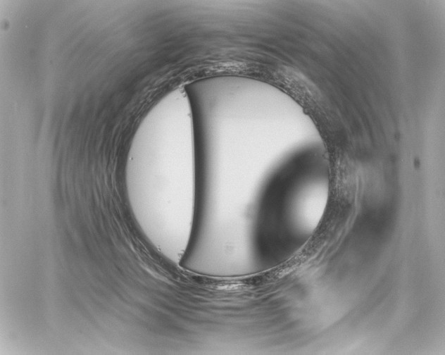 X0000060800173200511101428